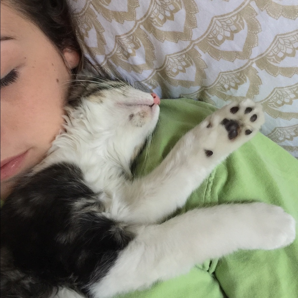 Meet your Posher, Shyanne
